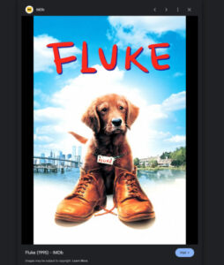 Screenshot of the movie poster for "Fluke" from IMDB