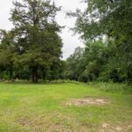 A couple landscapes