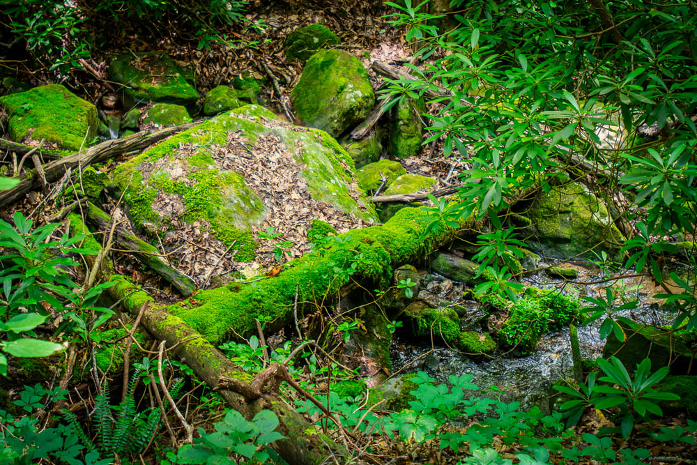 Anna Ruby Falls