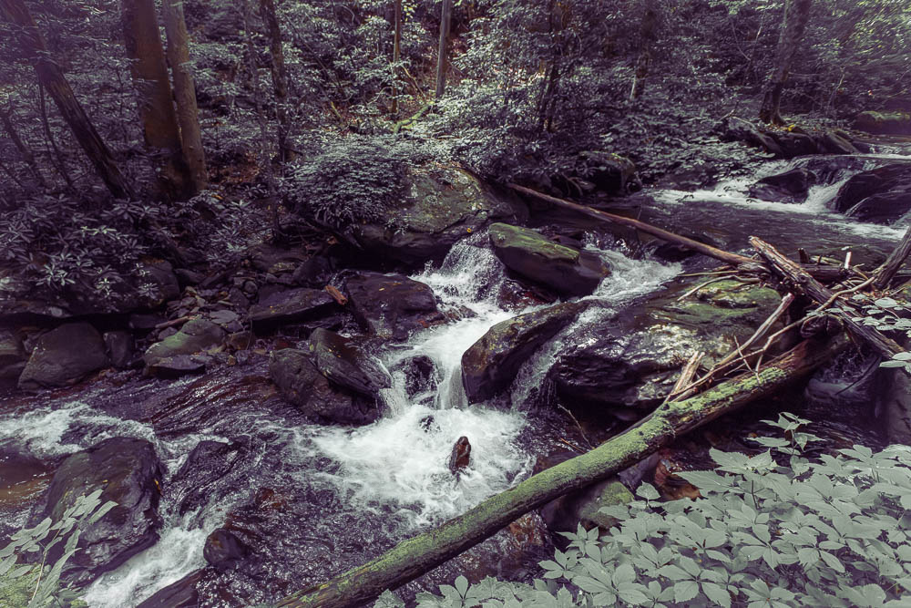Anna Ruby Falls