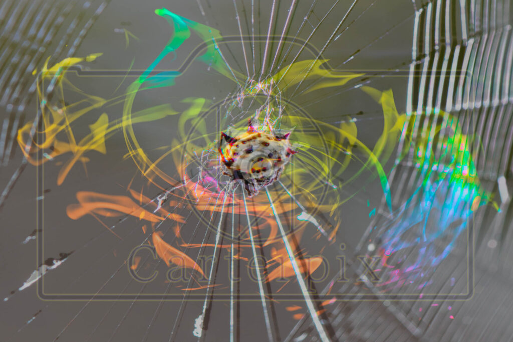 Fire art or F-Art with water mark