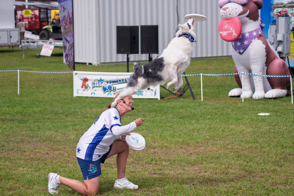 Disc Connected K9s GA Nat. Fair 2025