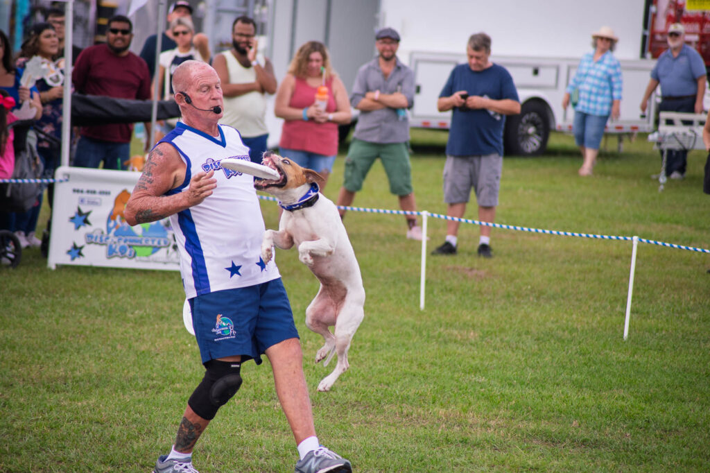 Disc Connected K9s GA Nat. Fair 2025