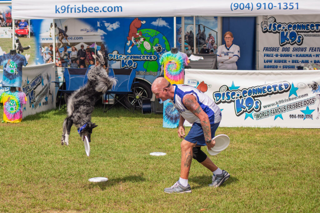 Disc Connected K9s GA Nat. Fair 2025