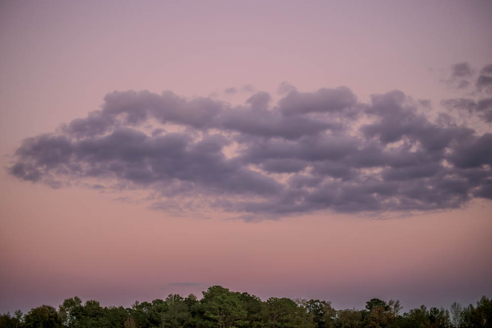 Fluffy cloud at sunset